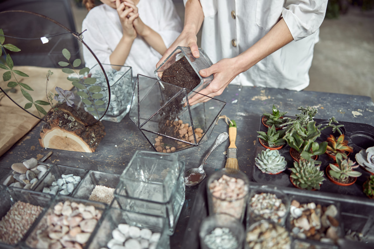 Choosing the Right Plants and Materials for Long-Lasting Terrariums