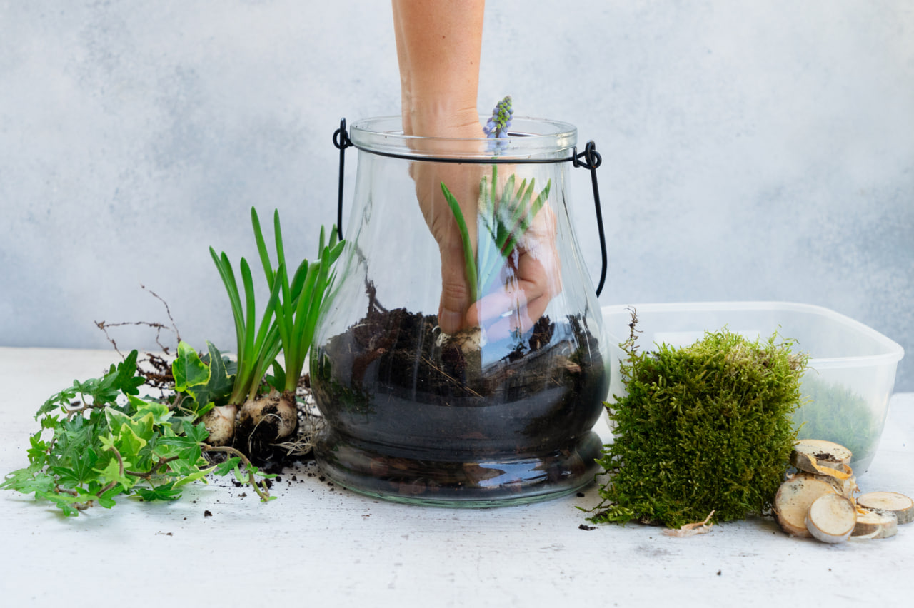 Advanced Terrarium Techniques: Layering, Themes, and Miniature Landscapes